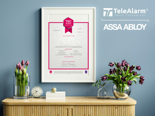 TeleAlarm TSA Audit 2025