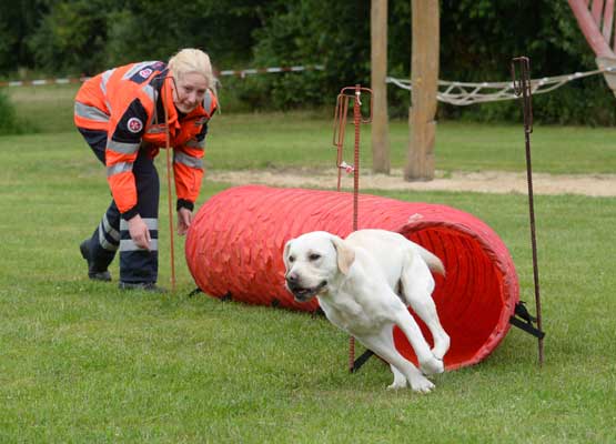 Johanniter Landeswettkampf Niedersachsen / Bremen Hunde